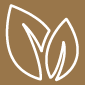 img-ico